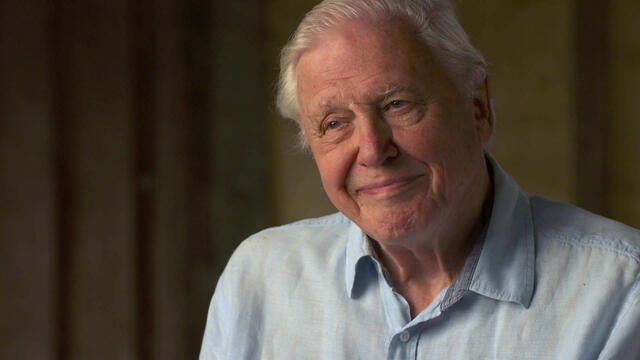 ot-sirdavidattenborough-3738070-640x360.jpg 